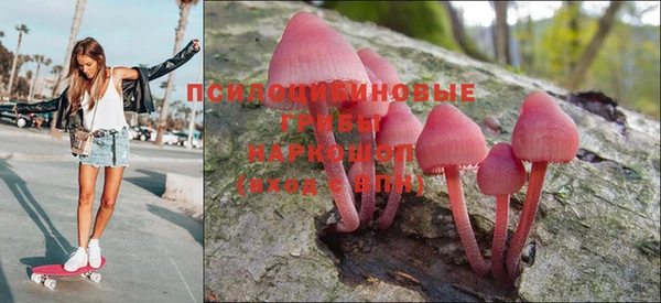 дмт Аркадак